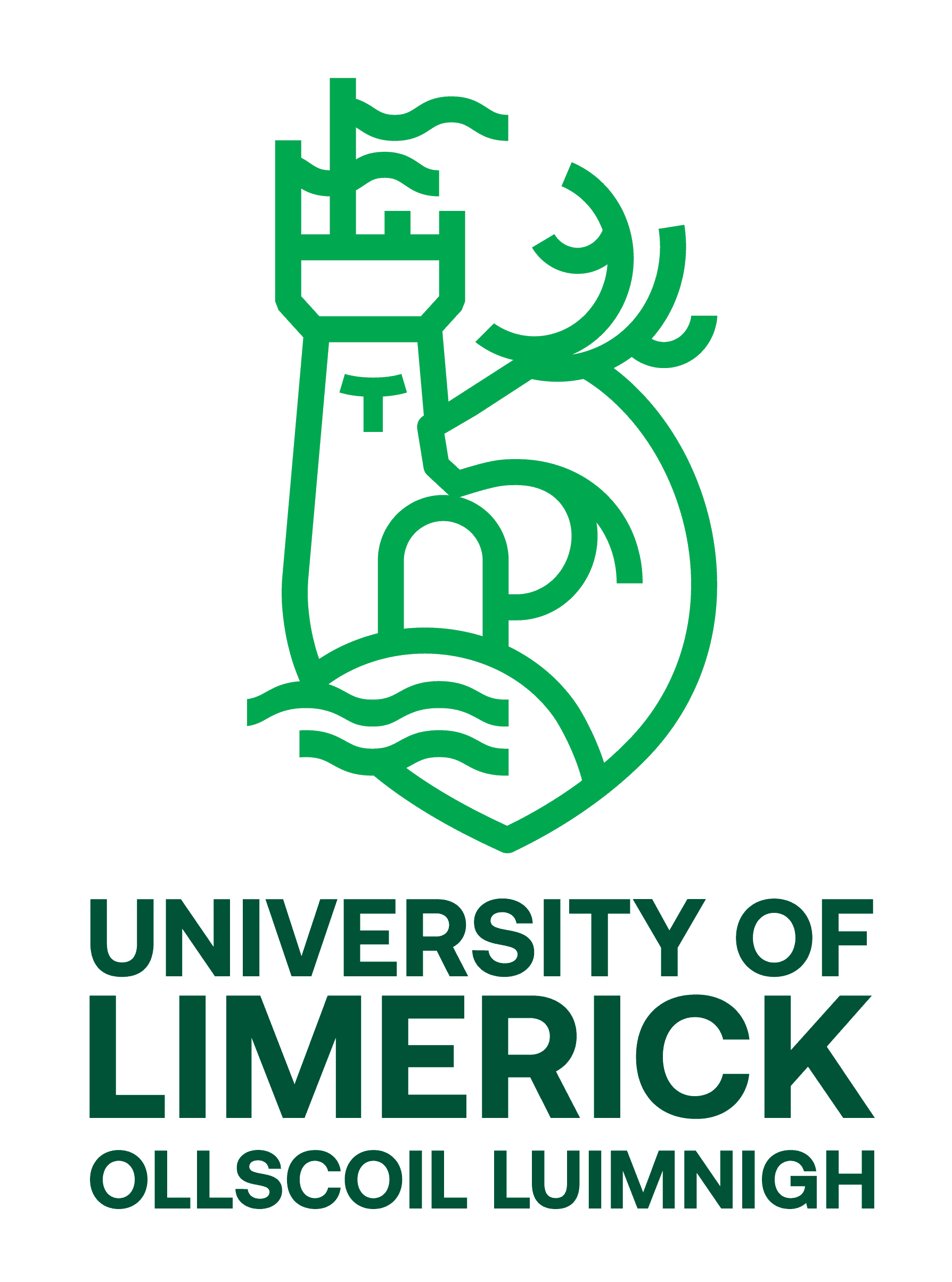 University of Limerick
